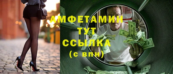 крисы Абаза