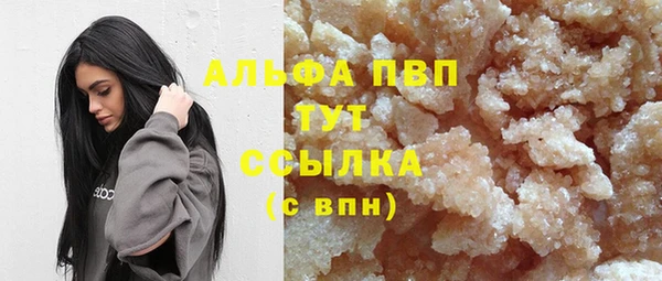 крисы Абаза