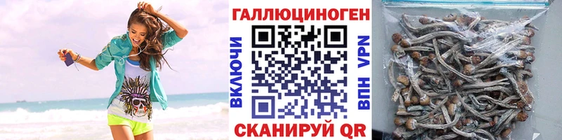 Псилоцибиновые грибы ЛСД  Стрежевой 