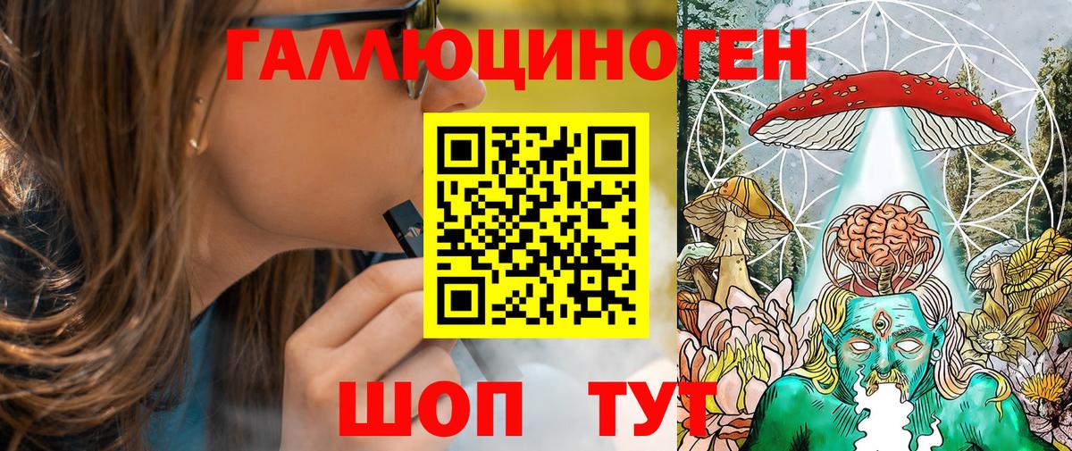 Галлюциногенные грибы Psilocybe Стрежевой