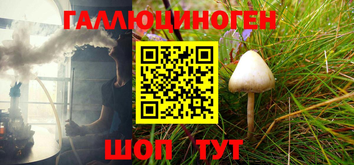 Псилоцибиновые грибы Psilocybine cubensis  Псилоцибиновые грибы Psilocybe  Вход с VPN  Стрежевой 